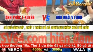 Trận 24 Bồ Gà C5 Ngày 13/11/2025