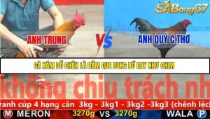 Trận 24 Bồ Gà C5 Ngày 21/11/2025