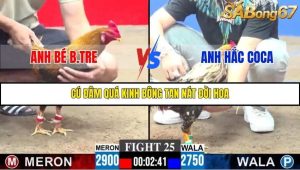 Trận 25 Bồ Gà C3 30/11/2025