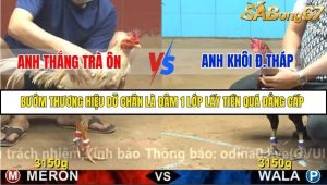 Trận 25 Bồ Gà C4 27/11/2025