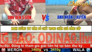 Trận 25 Bồ Gà C5 29/11/2025