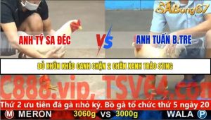 Trận 25 Bồ Gà C5 Ngày 17/11/2025