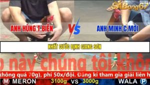 Trận 25 Bồ Gà C5 Ngày 24/11/2025