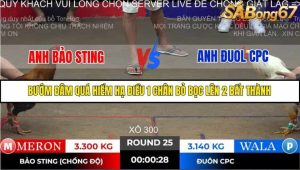 Trận 25 Bồ Gà Tonhon ngày 2/11/2025