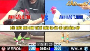 Trận 26 Bồ Gà C3 30/11/2025