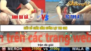 Trận 26 Bồ Gà C5 Ngày 20/11/2025