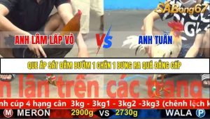 Trận 26 Bồ Gà C5 Ngày 24/11/2025