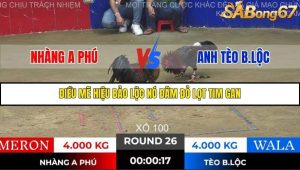 Trận 26 Bồ Gà Tonhon 28/11/2025