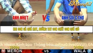 Trận 27 Bồ Gà C4 27/11/2025