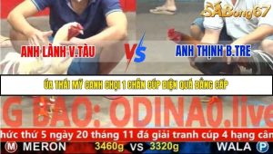 Trận 27 Bồ Gà C5 Ngày 19/11/2025