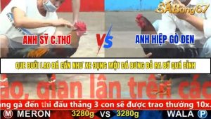 Trận 27 Bồ Gà C5 Ngày 21/11/2025