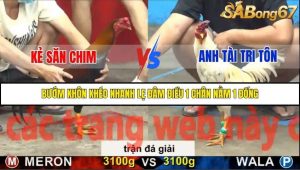 Trận 28 Bồ Gà C5 Ngày 20/11/2025