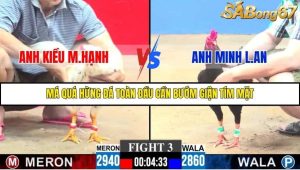 Trận 3 Bồ Gà C3 30/11/2025