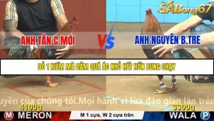 Trận 3 Bồ Gà C4 Ngày 20/11/2025