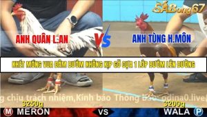 Trận 3 Bồ Gà C4 Ngày 21/11/2025