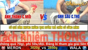 Trận 3 Bồ Gà C5 Ngày 21/11/2025