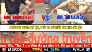 Trận 3 Bồ Gà C5 Ngày 8/11/2025