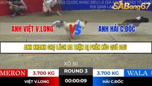 Trận 3 Bồ Gà Tonhon 28/11/2025