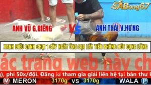 Trận 30 Bồ Gà C5 29/11/2025