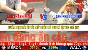 Trận 30 Bồ Gà C5 Ngày 21/11/2025