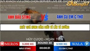 Trận 30 Bồ Gà Tonhon ngày 2/11/2025