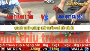 Trận 31 Bồ Gà C5 Ngày 21/11/2025