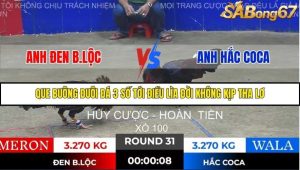 Trận 31 Bồ Gà Tonhon 28/11/2025