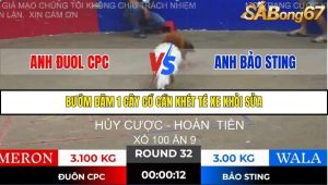 Trận 32 Bồ Gà Tonhon 28/11/2025