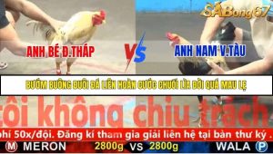 Trận 33 Bồ Gà C5 Ngày 19/11/2025