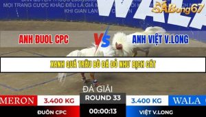 Trận 33 Bồ Gà Tonhon 28/11/2025