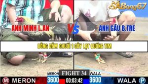 Trận 34 Bồ Gà C3 30/11/2025