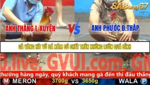 Trận 34 Bồ Gà C5 Ngày 19/11/2025