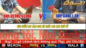 Trận 34 Bồ Gà C5 Ngày 21/11/2025