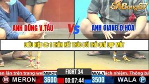 Trận 34 Bồ Gà C6 Ngày 1/11/2025