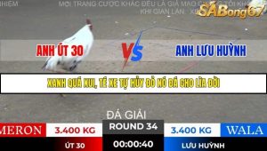 Trận 34 Bồ Gà Tonhon 28/11/2025