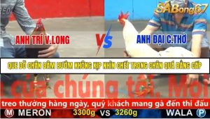 Trận 35 Bồ Gà C5 Ngày 19/11/2025