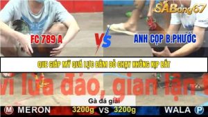 Trận 35 Bồ Gà C5 Ngày 20/11/2025