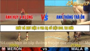 Trận 37 Bồ Gà C4 27/11/2025