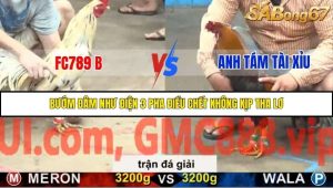 Trận 38 Bồ Gà C5 Ngày 20/11/2025