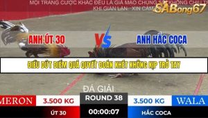 Trận 38 Bồ Gà Tonhon 28/11/2025