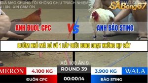 Trận 39 Bồ Gà Tonhon 28/11/2025