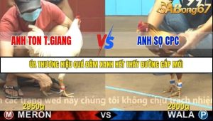 Trận 4 Bồ Gà C4 Ngày 13/11/2025