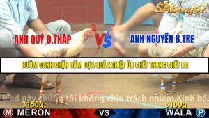 Trận 4 Bồ Gà C4 Ngày 17/11/2025
