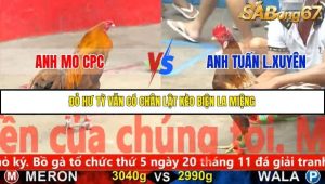 Trận 4 Bồ Gà C5 14/11/2025