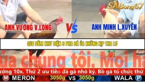 Trận 4 Bồ Gà C5 Ngày 10/11/2025