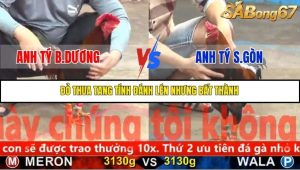 Trận 4 Bồ Gà C5 Ngày 13/11/2025