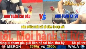 Trận 4 Bồ Gà C5 Ngày 18/11/2025