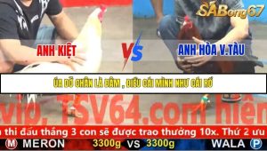 Trận 4 Bồ Gà C5 Ngày 19/11/2025