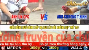 Trận 4 Bồ Gà C5 Ngày 25/11/2025
