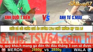 Trận 4 Bồ Gà C5 Ngày 26/11/2025
